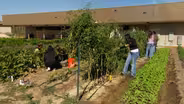 Connecting and Feeding the Community