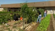 Connecting and Feeding the Community