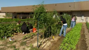Connecting and Feeding the Community