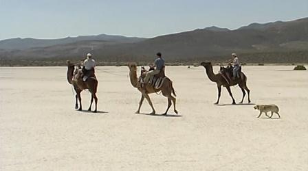 Video thumbnail: Wild Nevada Episode 107: Dayton to Yerington