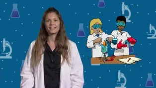 The Many Faces of Science