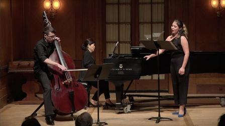Video thumbnail: On Stage at Curtis Brilliant Playing, Superb Technique