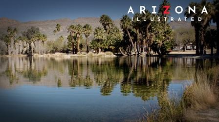 Video thumbnail: Arizona Illustrated Wings, Plants, Agua Caliente