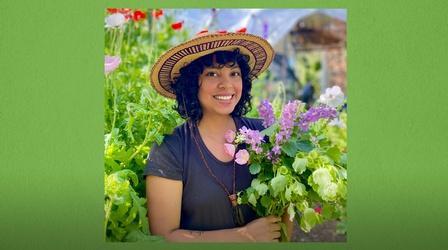 Video thumbnail: Central Texas Gardener Cut Flower Garden Love