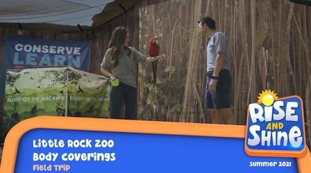 Video thumbnail: Rise and Shine Field Trip Little Rock Zoo Body Coverings