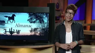 The Weekly Almanac Essay