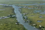 Trump to propose 'narrower definition' for water protection