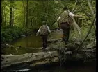 Streamside Browns