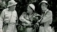 Africa Screams (1949)