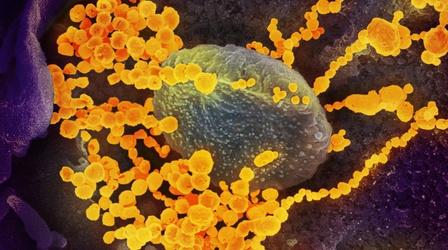 Video thumbnail: NOVA What We Know and Don’t Know about the Coronavirus