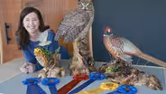 Wood Carver