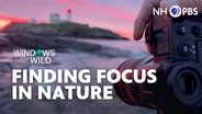 Finding Focus in Nature