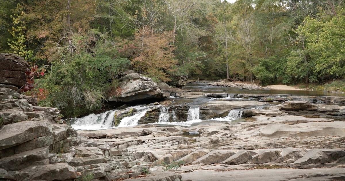 Turkey Creek Preserve, Biology