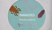 How parasites make a living