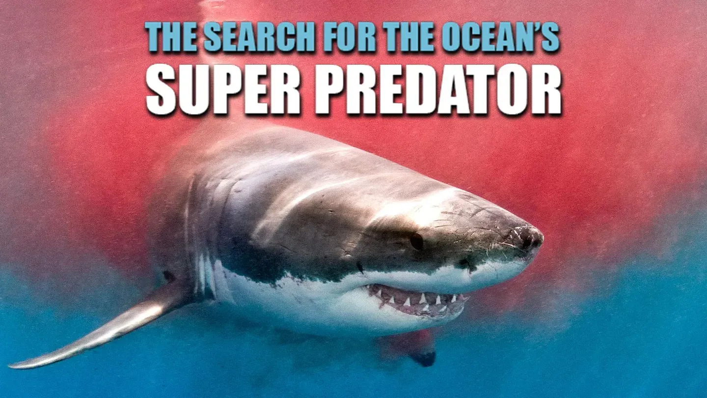 The Search for the Ocean's Super Predator