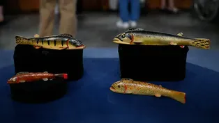 Appraisal: Oscar Peterson Fish Decoys, ca. 1932