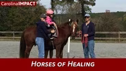 Horses of Healing | Carolina Impact