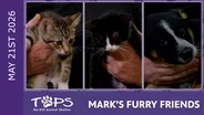 5/21/2026 | Opal, Emerald and Ellie | Mark's Furry Friends Extra