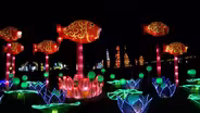2021 Chinese Lantern Festival