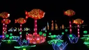 2021 Chinese Lantern Festival
