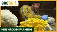 Mushroom Farming
