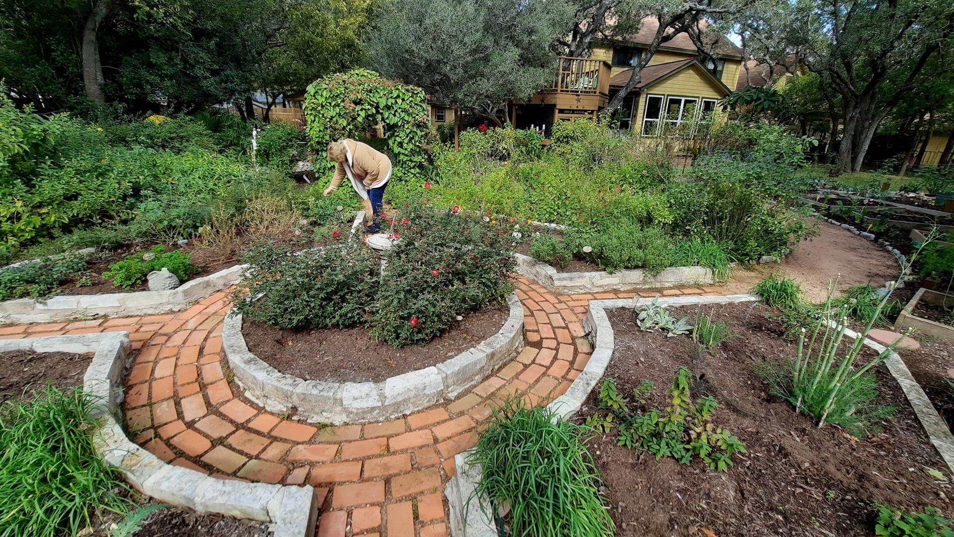 Central Texas Gardener | Backyard Adventure with Vignettes: Jo Ann