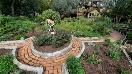 Video thumbnail: Central Texas Gardener Backyard Adventure with Vignettes: Jo Ann Glanz