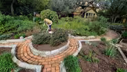 Backyard Adventure with Vignettes: Jo Ann Glanz