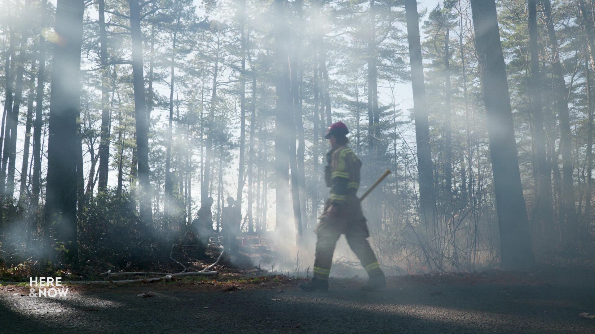 A still image shows a firefighter walking through a forest with sunbeams illuminating the smoke from a prescribed burn. A still image shows a firefighter walking through a forest with sunbeams illuminating the smoke from a prescribed burn.