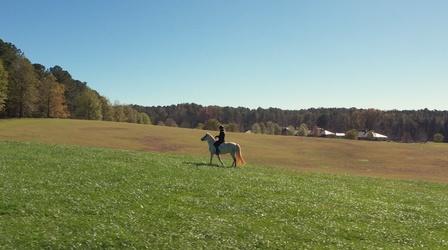 Video thumbnail: Georgia Outdoors Horse Country
