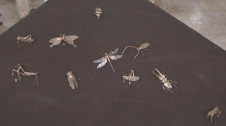 Video thumbnail: Antiques Roadshow Appraisal: Meiji Period Silver Insects