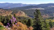 Looking Back on 2022’s Fires, Floods, & Drought
