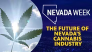 The Future of Nevada’s Cannabis Industry