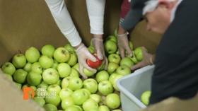 Video thumbnail: One Detroit Forgotten Harvest