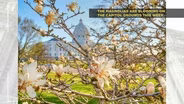 Capitol Pics 2023 | Week 19