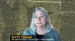 Northern MN Wildfires | MN DNR Forester