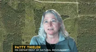 Northern MN Wildfires | MN DNR Forester
