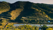 The Impact of the Loess Plateau Rehabilitation Project