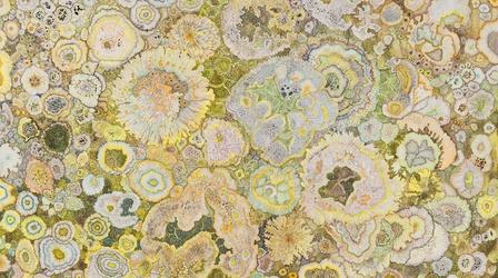 Video thumbnail: Oregon Art Beat Claire Burbridge, botanical-inspired illustration | K-12