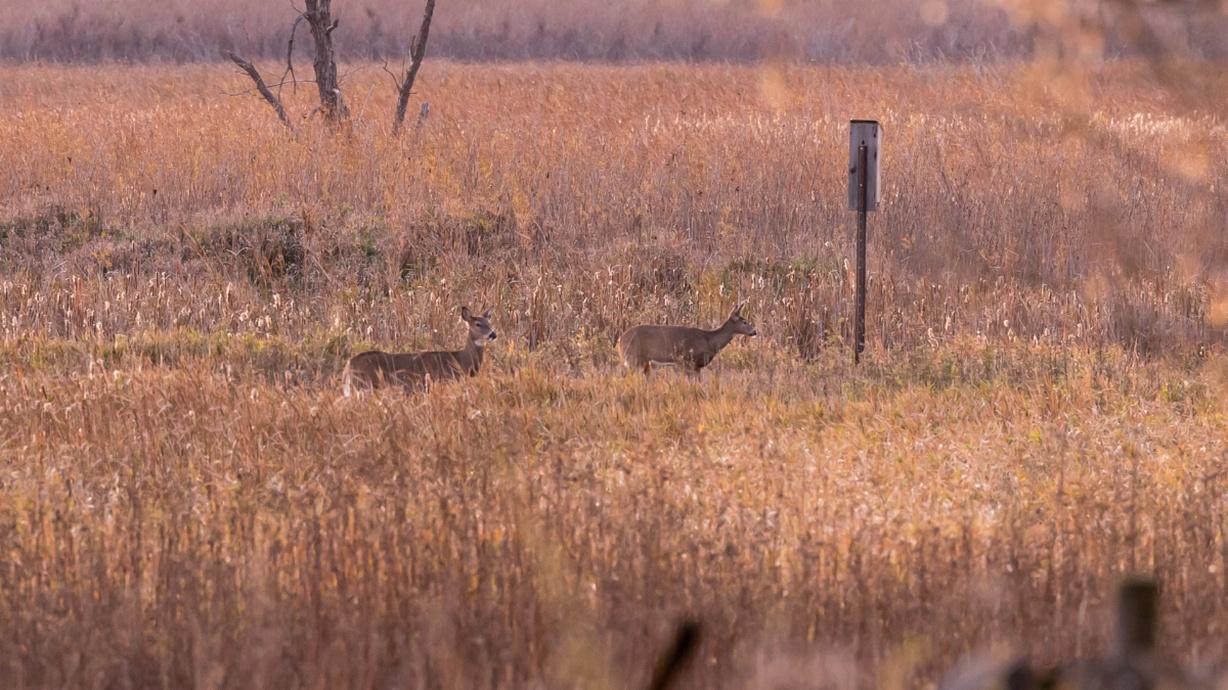 This week's episode of Prairie Sportsman features a behind-the