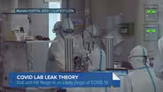 New Questions, Theories Emerge About COVID-19 Origins