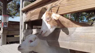 Mike's Farm