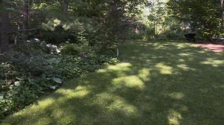 Video thumbnail: Backyard Farmer Backyard Farmer: Aggressive Shade Plants & Garden Tour