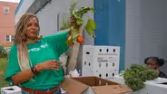 How a plant-based diet can help the planet
