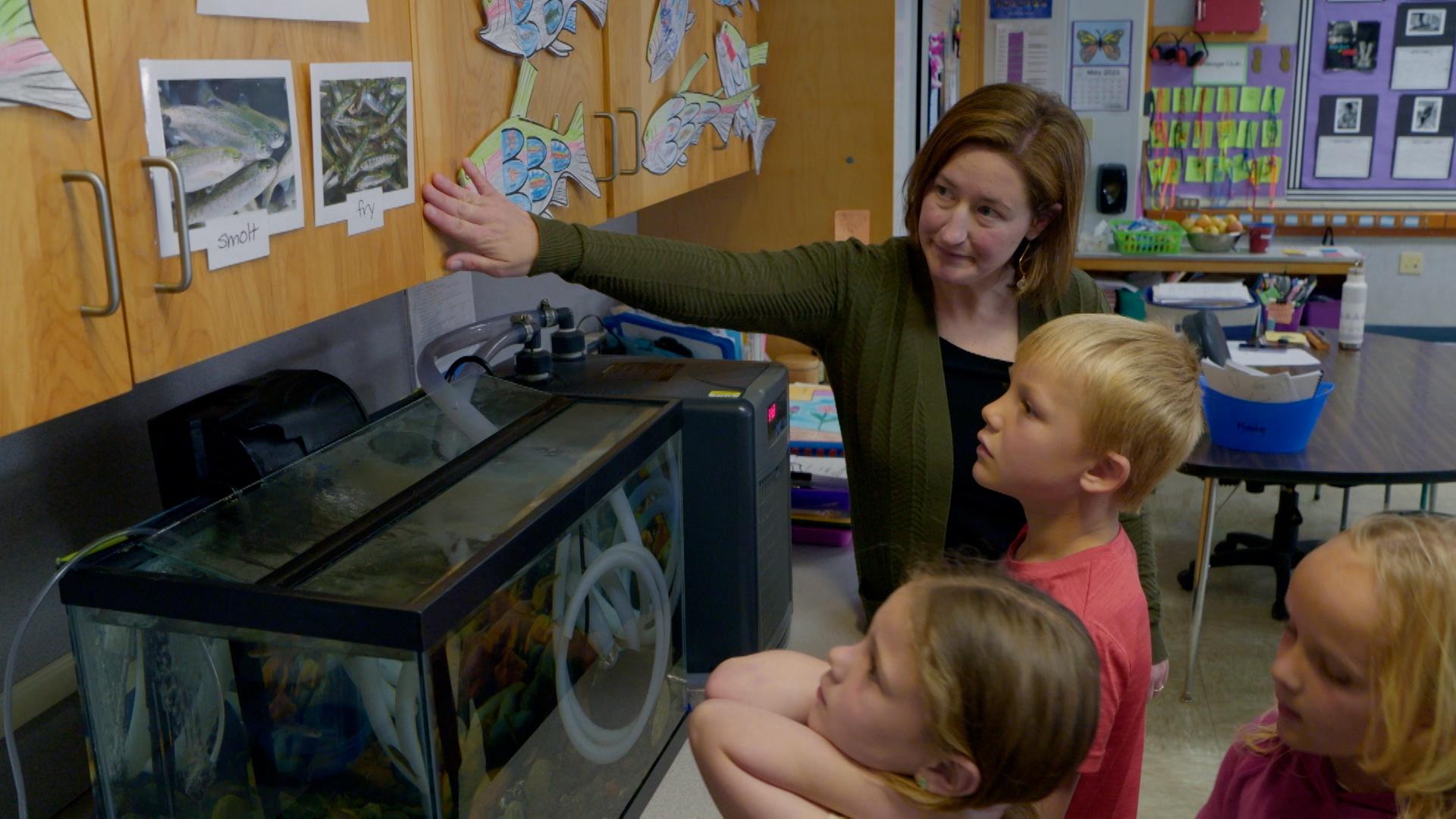 Steelhead in the Classroom 