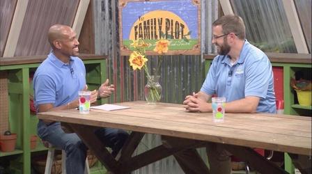 Video thumbnail: The Family Plot Fern Propagation & Daylilies