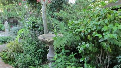 Small-Space Gardening