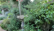 Small-Space Gardening