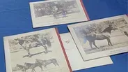 Appraisal: Seabiscuit Christmas Cards, ca. 1940