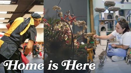 Video thumbnail: Home is Here Episode 209